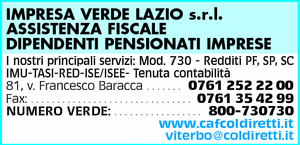Visualizza Inserzione