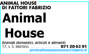 Visualizza Inserzione