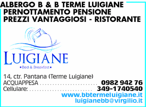 Visualizza Inserzione