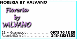 Visualizza Inserzione