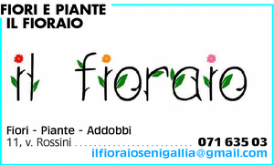 Visualizza Inserzione