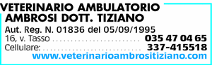 Visualizza Inserzione