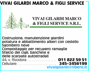 Visualizza Inserzione