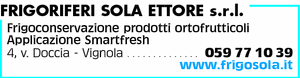 Visualizza Inserzione