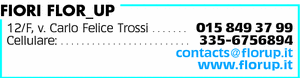 Visualizza Inserzione