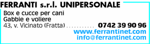 Visualizza Inserzione
