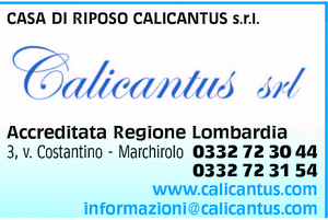 Visualizza Inserzione