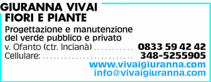 Visualizza Inserzione