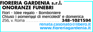 Visualizza Inserzione