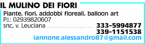 Visualizza Inserzione