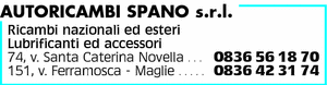 Visualizza Inserzione