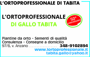 Visualizza Inserzione