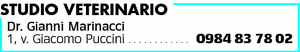 Visualizza Inserzione