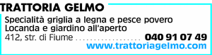 Visualizza Inserzione