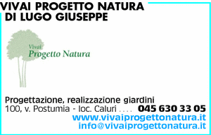 Visualizza Inserzione