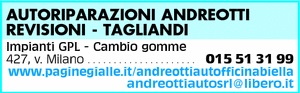 Visualizza Inserzione