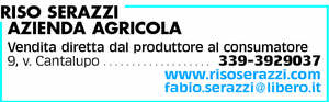 Visualizza Inserzione