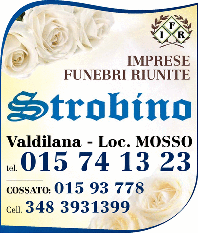 Visualizza Inserzione
