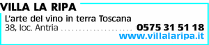 Visualizza Inserzione