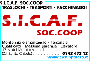 Visualizza Inserzione