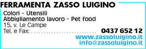 Visualizza Inserzione