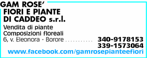 Visualizza Inserzione
