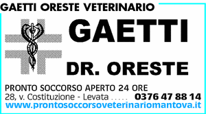Visualizza Inserzione