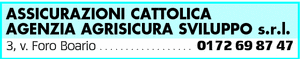 Visualizza Inserzione