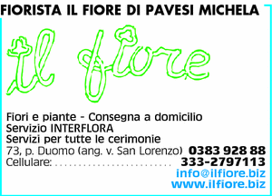 Visualizza Inserzione