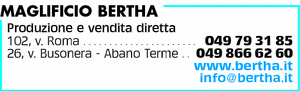 Visualizza Inserzione