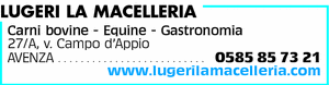 Visualizza Inserzione