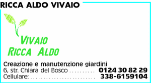 Visualizza Inserzione