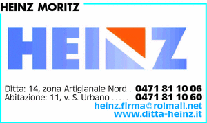 Visualizza Inserzione