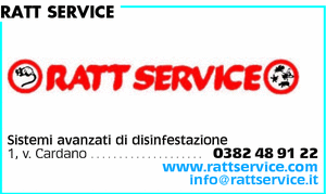 Visualizza Inserzione
