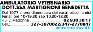 Visualizza Inserzione