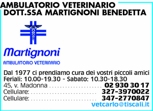 Visualizza Inserzione