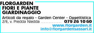 Visualizza Inserzione