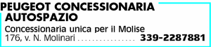 Visualizza Inserzione