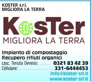 Visualizza Inserzione