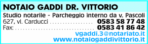 Visualizza Inserzione