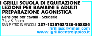 Visualizza Inserzione