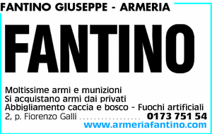 Visualizza Inserzione