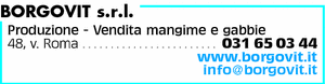 Visualizza Inserzione