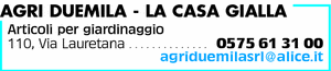 Visualizza Inserzione