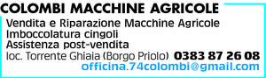 Visualizza Inserzione