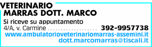 Visualizza Inserzione