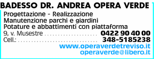 Visualizza Inserzione