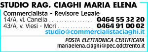 Visualizza Inserzione