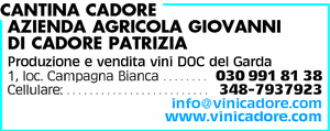 Visualizza Inserzione