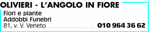 Visualizza Inserzione